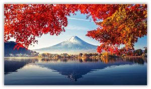Nhật Bản OSAKA – KYOTO – FUJI – TOKYO