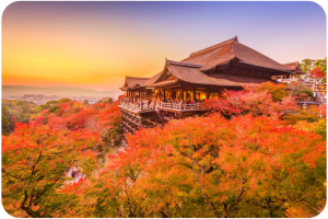OSAKA – KYOTO – FUJI – TOKYO  CUNG ĐƯỜNG VÀNG NHẬT BẢN
