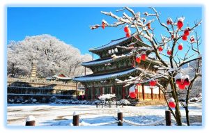 VUI XUÂN HÀN QUỐC SEOUL – NAMI ISLAND – TRƯỢT TUYẾT – LOTTE WORLD