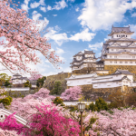 THƯỞNG NGOẠN HOA ANH ĐÀO CÙNG CUNG ĐƯỜNG VÀNG NHẬT BẢN (OSAKA – KYOTO – PHÚ SĨ – TOKYO – NARITA)