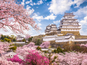 THƯỞNG NGOẠN HOA ANH ĐÀO CÙNG CUNG ĐƯỜNG VÀNG NHẬT BẢN (OSAKA – KYOTO – PHÚ SĨ – TOKYO – NARITA)