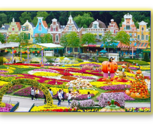 HÀN QUỐC (SEOUL – NAMI ISLAND – EVERLAND)